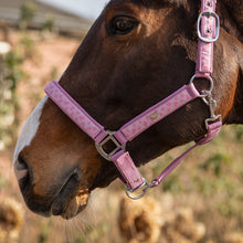 Load image into Gallery viewer, QHP Lyvia Halter
