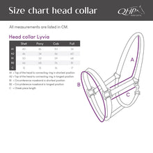 Load image into Gallery viewer, QHP Lyvia Halter
