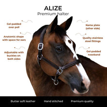 Load image into Gallery viewer, Lumiere 'ALIZE' LEATHER HALTER ~ Black
