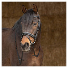 Load image into Gallery viewer, Harry&#39;s Horse Sparkle Bridle
