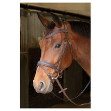 Load image into Gallery viewer, Harry&#39;s Horse Havana and Navy Bridle
