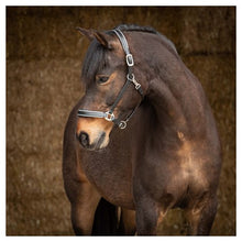 Load image into Gallery viewer, Harry&#39;s Horse Leather Halter With Sparkle
