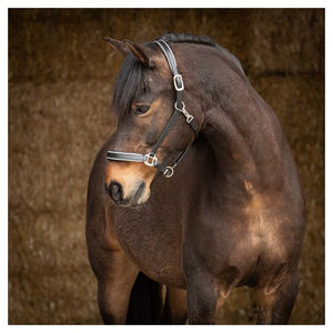 Harry's Horse Leather Halter With Sparkle