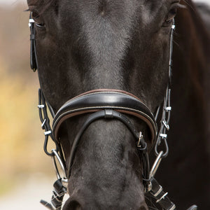 Kieffer Vera Snaffle Bridle