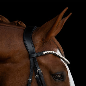 Kieffer Victoria II bridle