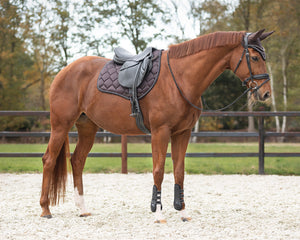 QHP Crocodile Print Saddle Pad GP