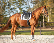 Load image into Gallery viewer, QHP Kae Saddle Pad Dressage
