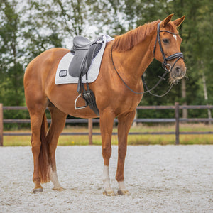 QHP Numbered Dressage Saddle Pad ~ White