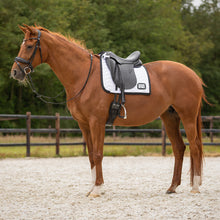 Load image into Gallery viewer, QHP Numbered Dressage Saddle Pad ~ White with Black Trim
