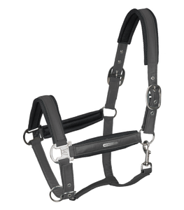 Waldhausen Breath Halter ~ Anthracite