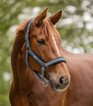 Load image into Gallery viewer, Waldhausen Breath Halter ~ Chalk Blue
