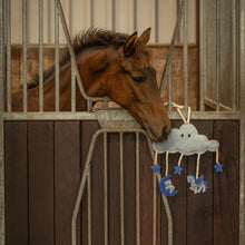 Load image into Gallery viewer, QHP Horse toy Novy
