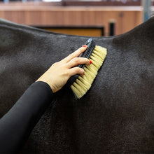 Load image into Gallery viewer, QHP Royal Grooming Set ~ Brown or Black
