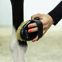 Load image into Gallery viewer, QHP Royal Grooming Set ~ Brown or Black
