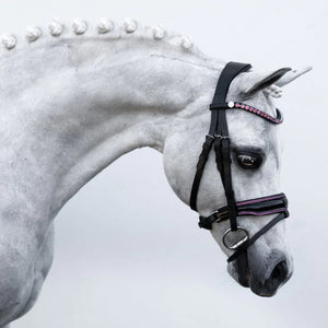 LUMI PONY ~ FAIRYFLOSS BRIDLE