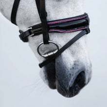 Load image into Gallery viewer, LUMI PONY ~ FAIRYFLOSS BRIDLE
