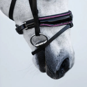 LUMI PONY ~ FAIRYFLOSS BRIDLE