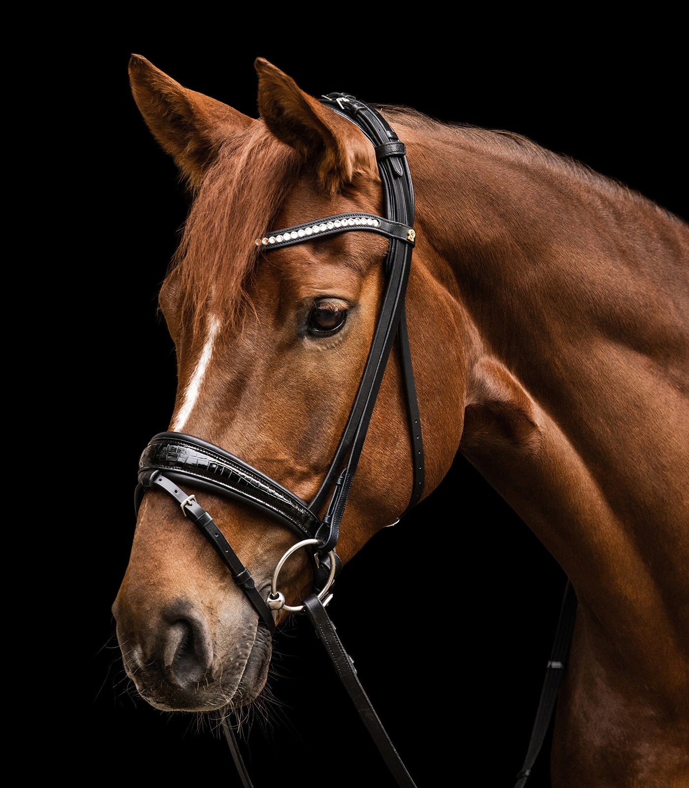 Waldhausen S-Line Magic Bridle ~ Croc print – Sunspree Tack
