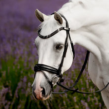 Load image into Gallery viewer, Lumiere 'ARCADIA' LUXURY LEATHER BRIDLE (HANOVERIAN)
