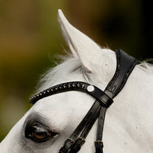 Load image into Gallery viewer, Lumiere 'ARCADIA' LUXURY LEATHER BRIDLE (HANOVERIAN)
