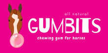 Load image into Gallery viewer, GumBits
