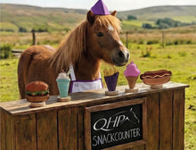 Load image into Gallery viewer, QHP Snack Counter Toys
