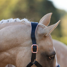 Load image into Gallery viewer, Lumiere Hollywood Leather Halter ~ Rosegold
