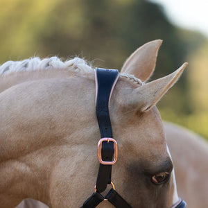 Lumiere Hollywood Leather Halter ~ Rosegold