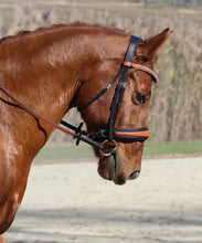 Load image into Gallery viewer, Bridleberry #54 EXTRA PADDED SNAFFLE BRIDLE IN FULL GRAIN LEATHER, TWO TONE BASKET WEAVE EMBOSSED NOSEBAND W/REINS
