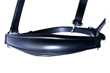 Load image into Gallery viewer, Bridleberry #4 PADDED LEATHER HALTER W/ADJ.NOSE BAND,CLIP THROAT LATCH

