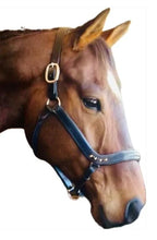 Load image into Gallery viewer, Bridleberry # 5 LEATHER SHOW HALTER W/ROW OF GEMS AT THE CURVE OF THE NOSE BAND, DESIGNED FOR A CLIP LEAD
