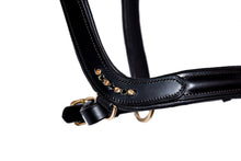 Load image into Gallery viewer, Bridleberry # 5 LEATHER SHOW HALTER W/ROW OF GEMS AT THE CURVE OF THE NOSE BAND, DESIGNED FOR A CLIP LEAD
