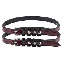 Load image into Gallery viewer, IRH Pardouz Spur Straps
