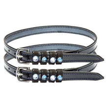 Load image into Gallery viewer, IRH Pardouz Spur Straps
