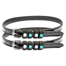 Load image into Gallery viewer, IRH Pardouz Spur Straps
