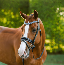 Load image into Gallery viewer, Lumiere Paris Snaffle Bridle
