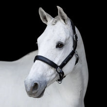 Load image into Gallery viewer, Lumiere 'VEGAS' GLITTER LEATHER HALTER
