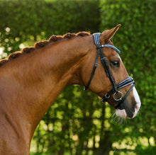 Load image into Gallery viewer, Lumiere Paris Snaffle Bridle
