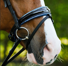 Load image into Gallery viewer, Lumiere Paris Snaffle Bridle
