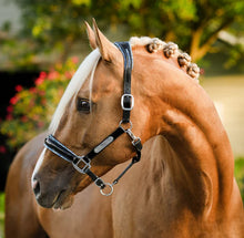 Load image into Gallery viewer, Lumiere Paris Leather Halter
