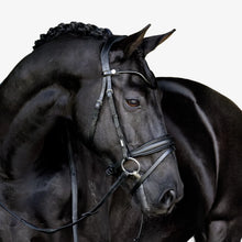 Load image into Gallery viewer, Lumiere Penny Snaffle Bridle
