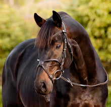 Load image into Gallery viewer, Lumiere Pia Grackle Bridle
