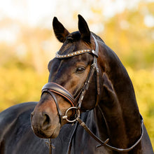 Load image into Gallery viewer, Lumiere Pippa Snaffle Bridle
