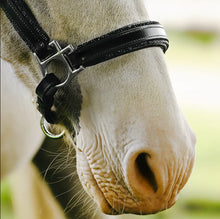 Load image into Gallery viewer, LUMI PONY ~ VEGAS GLITTER LEATHER HALTER
