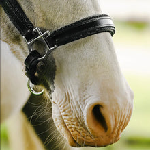 Load image into Gallery viewer, Lumiere 'VEGAS' GLITTER LEATHER HALTER

