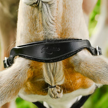 Load image into Gallery viewer, LUMI PONY ~ VEGAS GLITTER LEATHER HALTER
