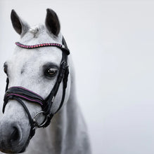 Load image into Gallery viewer, LUMI PONY ~ FAIRYFLOSS BRIDLE
