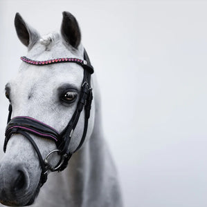 LUMI PONY ~ FAIRYFLOSS BRIDLE