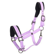 Load image into Gallery viewer, IRH-Jewel Mesh Halter w/ Matching Lead
