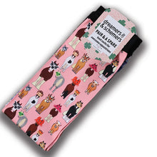 Load image into Gallery viewer, Dreamers &amp; Schemers DISGUISE SOCKS

